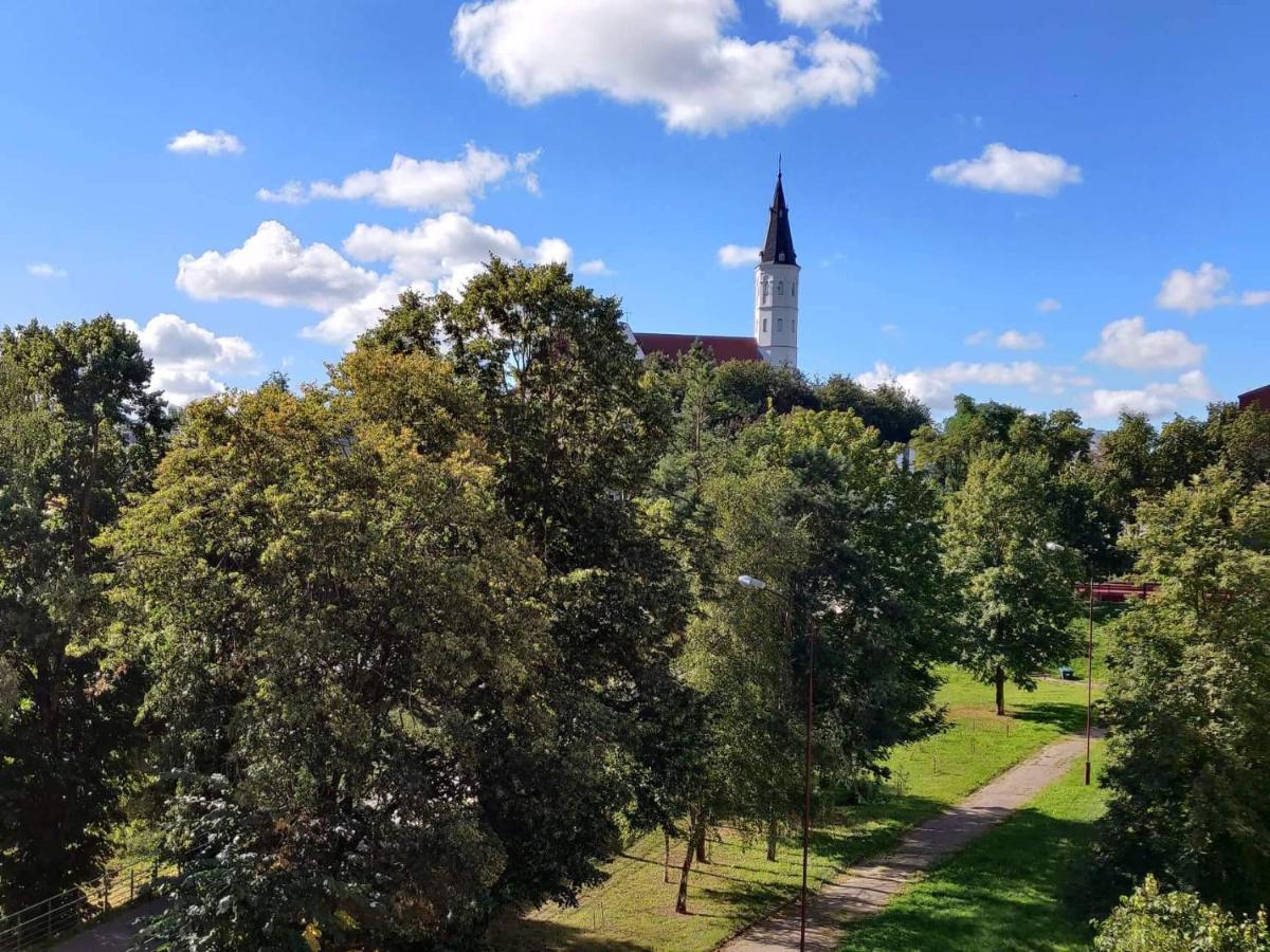 Ferienwohnung Centrinio Parko Apartamentai Šiauliai Exterior foto